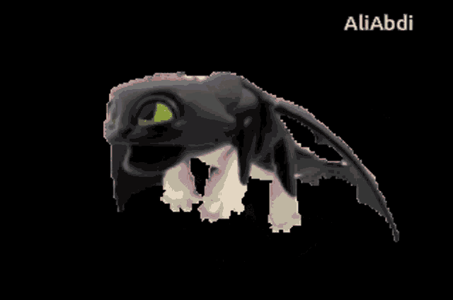a pixel art of a dragon with the name aliabdi on it