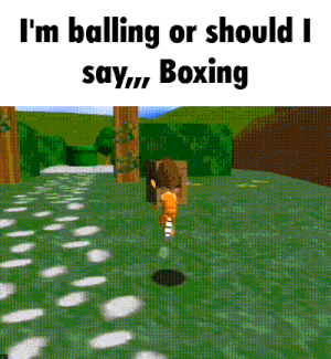a video game scene with the words i 'm balling or should i say boxing on it