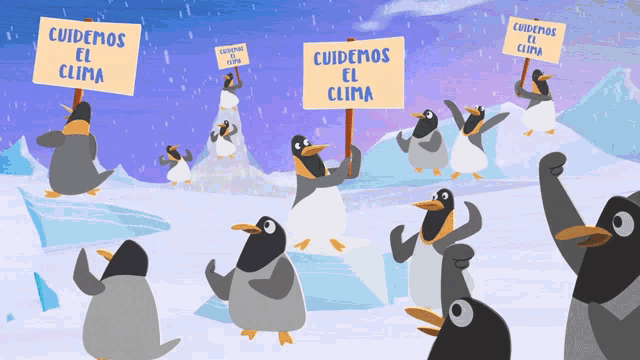 a group of penguins are holding up signs that say cuidemos el clima