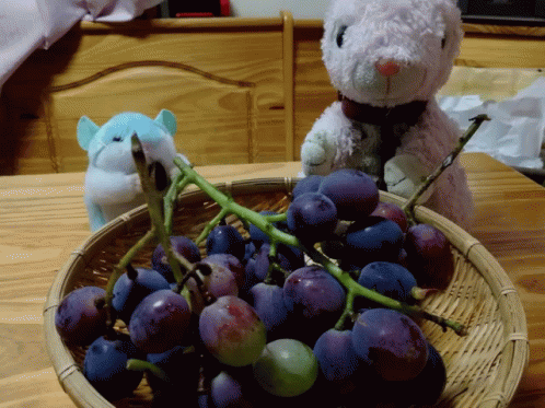 Bunny Grapes GIF - Bunny Grapes Want Some GIFs
