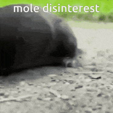 Mole Mole Interest GIF - Mole Mole Interest Silly GIFs