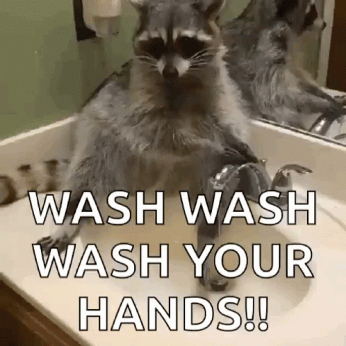 Germaphobe Wash Your Hands GIF