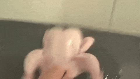 a person is cleaning a chicken in a sink .