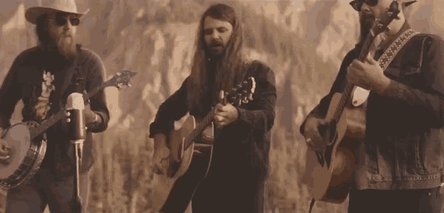 a group of men playing guitars and a banjo