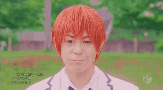 a young man with a wig on is smiling in a park .