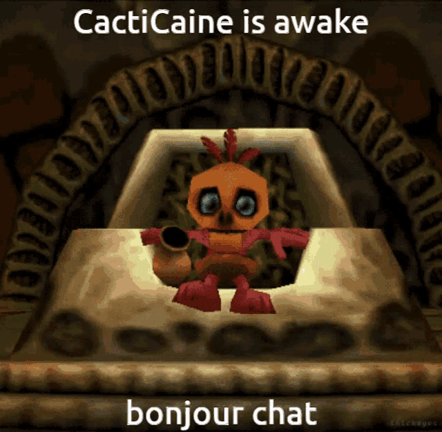 a picture of a cartoon character with the words cacticaine is awake bonjour chat
