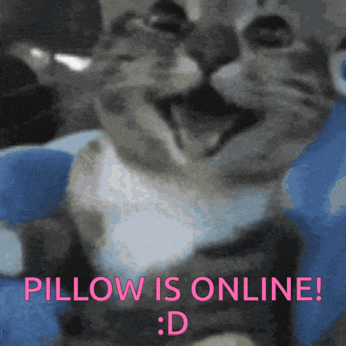 a close up of a cat with the words pillow is online