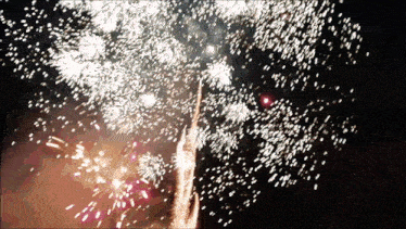 a fireworks display is going off in the dark