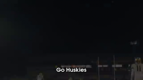 Huskies Football GIF - Go Huskies Go Dawgs Uw GIFs
