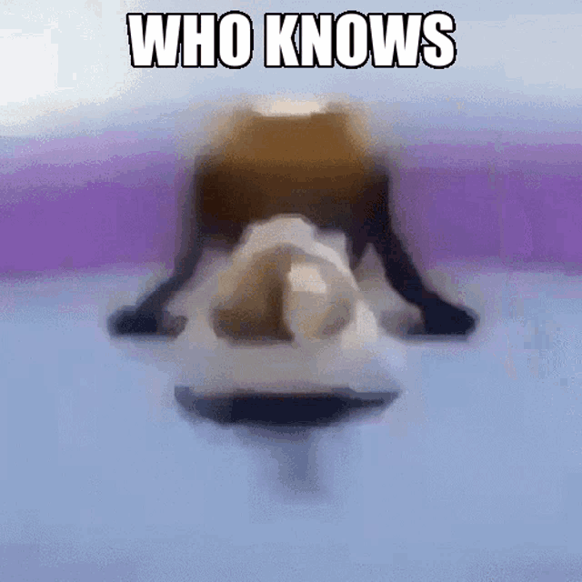 a blurred image of a person with the words who knows written on it