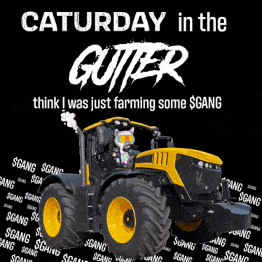 Caturday Gutter GIF - Caturday Gutter Cat GIFs