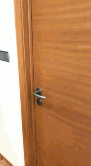 a close up of a wooden door with a handle