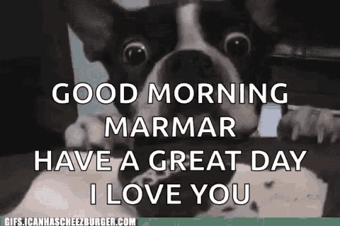 a black and white dog says good morning marmar have a great day i love you