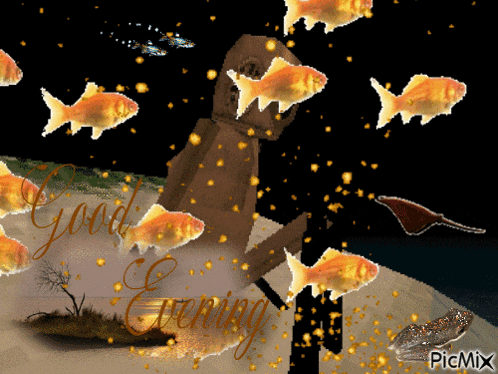 a picture of a man surrounded by goldfish with the words good evening written on the bottom