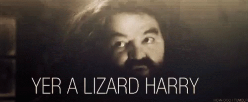 Harrypotter Hagrid GIF - Harrypotter Hagrid Lizard GIFs