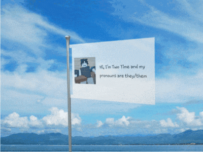 a flag says hi i 'm two time and my pronouns are they them