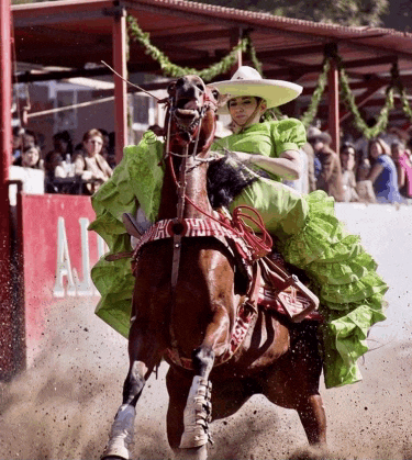 a woman in a green dress is riding a brown horse in front of a sign that says al
