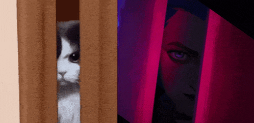 a cat is peeking out of a window next to a woman