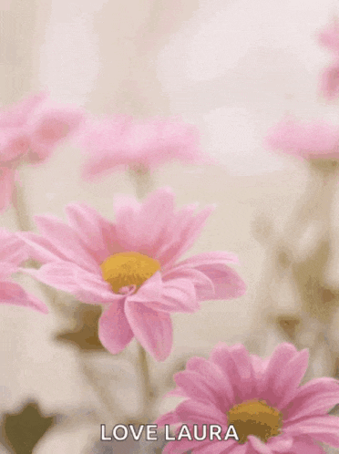 a mother 's day card with pink flowers and the words happy mother 's day