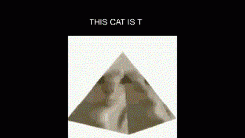 Cat Pyramid GIF - Cat Pyramid GIFs