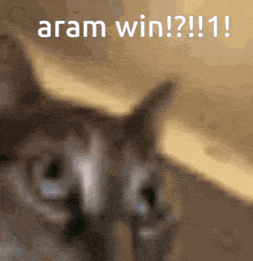 Aram Win Flyu Gifs GIF - Aram Win Flyu Gifs Cat Aram GIFs