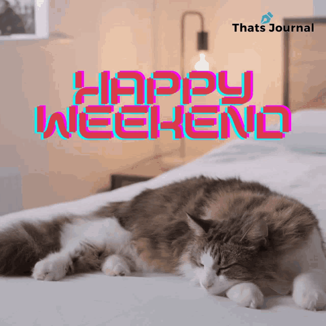 a cat is laying on a bed with the words happy weekend written above it