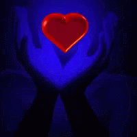 Love Amor GIF - Love Amor Heartbeat GIFs