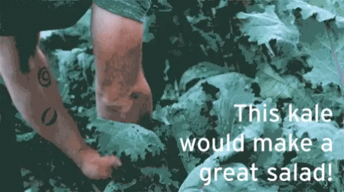 Salad Kale Salad GIF - Salad Kale Salad This Kale Would Make A Great Salad GIFs