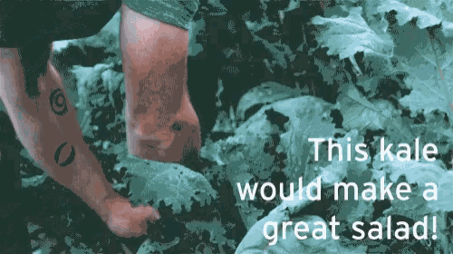 a person is standing in a field of kale with the words this kale would make a great salad written below them