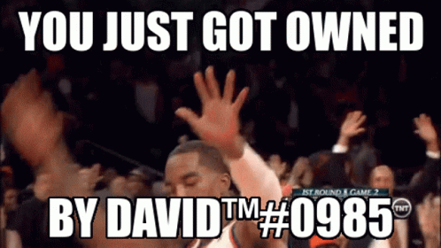 You Just Got Owned David GIF