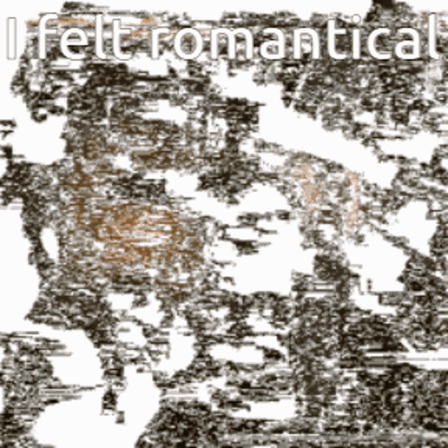 a black and white image with the words i felt romantical written on it