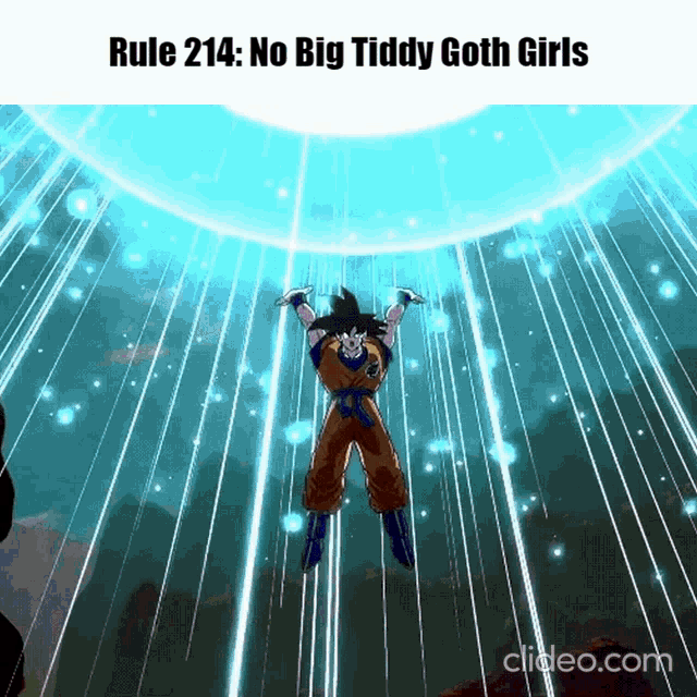 a picture of a cartoon character with the words rule 214 no big tiddy goth girls