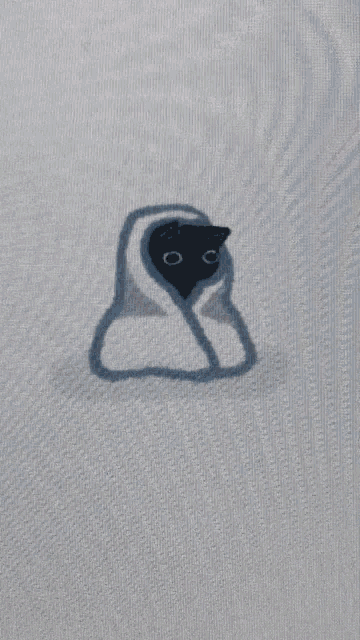 a shadow of a black cat is cast on a white screen