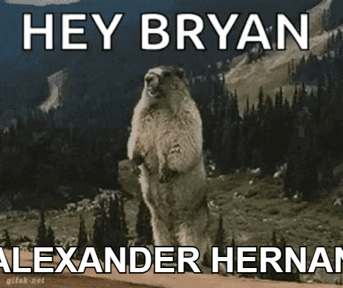 a picture of a groundhog with the caption hey bryan