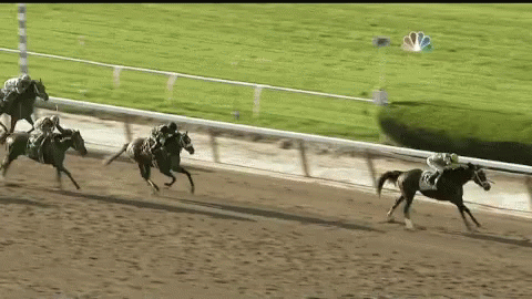 Horse Race GIF - Horse Race Omw GIFs