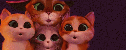 4 Gatos Mirando Una Mosca GIF - Eyes Cat Whoa GIFs