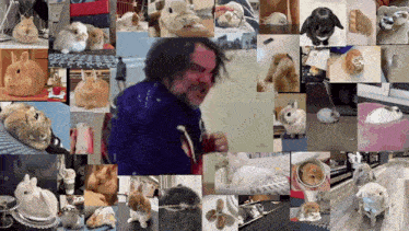 a collage of pictures of rabbits including one of a man