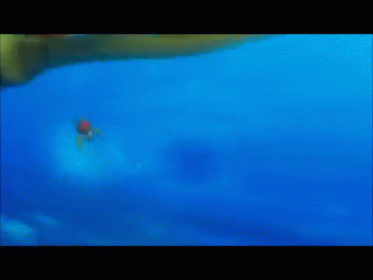Did You See That Dad GIF - Finding Nemo Crush Squirt GIFs
