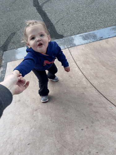 a toddler wearing a blue puma sweatshirt holds a person 's hand