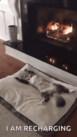 a cat is laying on top of a dog bed in front of a fireplace .