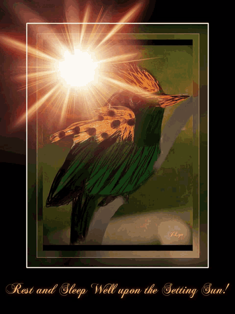 a picture of a bird with the words rest and sleep well upon the setting sun below it