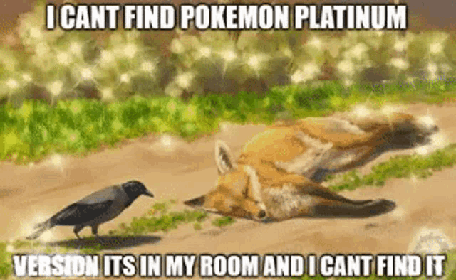 a crow standing next to a dead fox that says i cant find pokemon platinum version it 's in my room