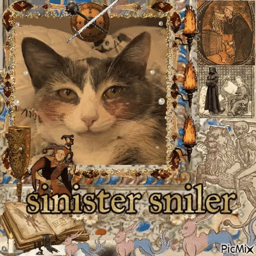 a picture of a cat in a frame with the words " sinister smiler " on the bottom