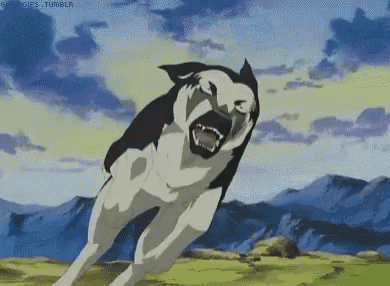 a black and white dog is running on a grassy field with its mouth open .