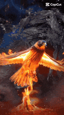 an animated image of a bird with flames coming out of its feet