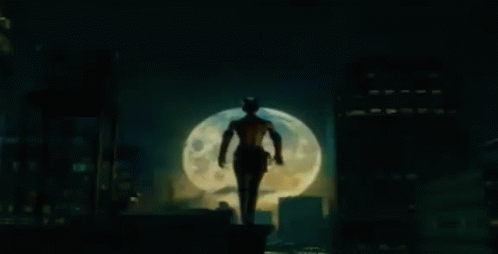 Catwoman Whip GIF - Catwoman Whip Cat GIFs