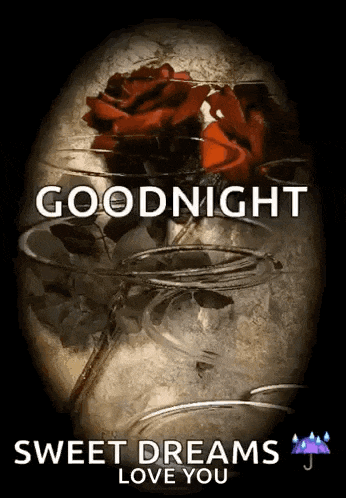 a goodnight sweet dreams love you greeting card with a red rose in a glass
