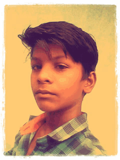 a young boy with a plaid shirt on looks at the camera