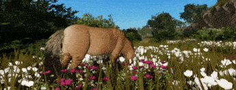 a brown horse is grazing in a field of flowers