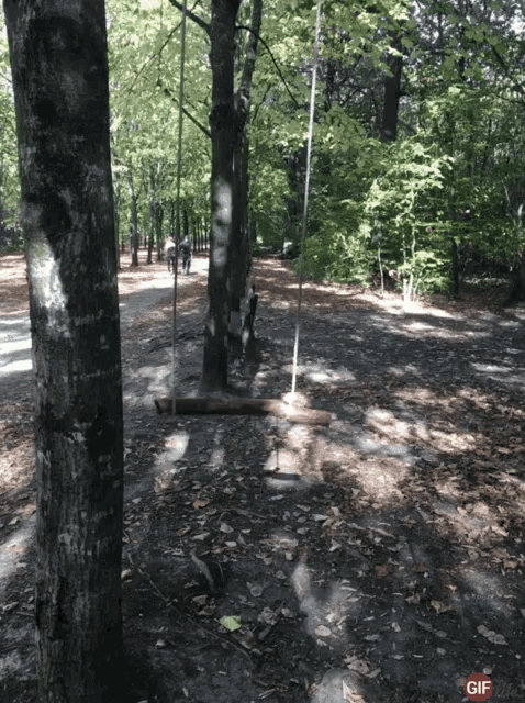 a tree swing in the middle of a forest with a gif watermark at the bottom
